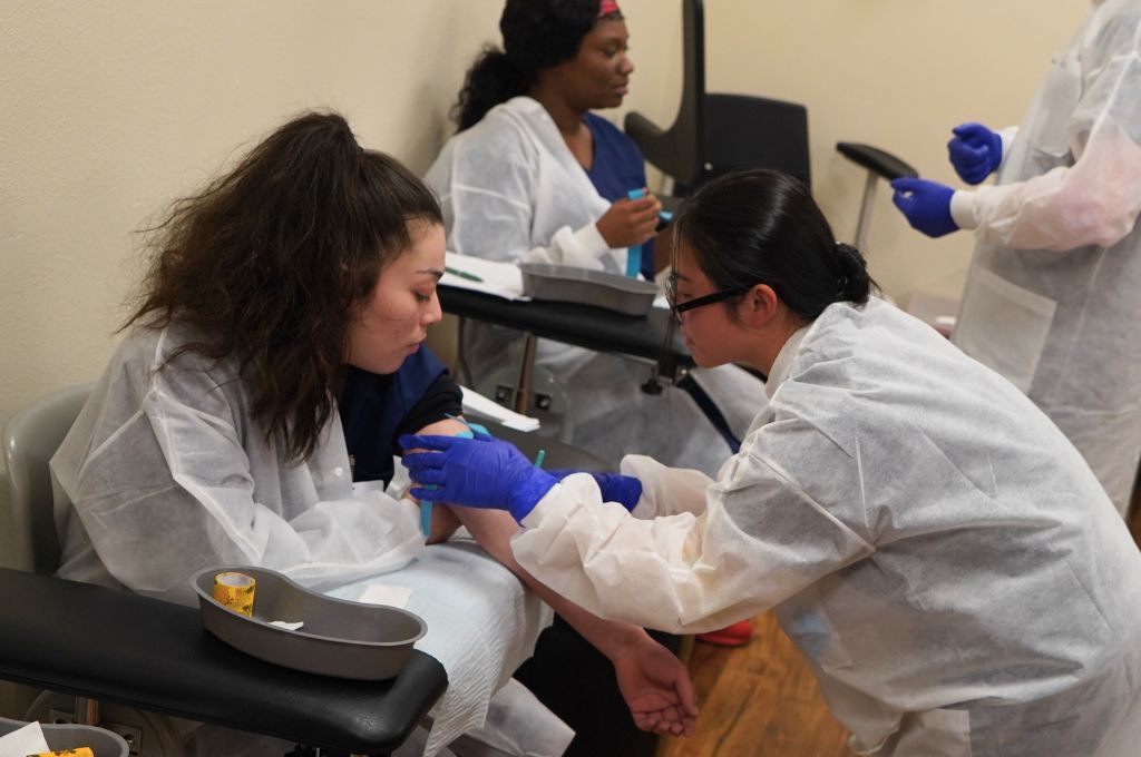 Phlebotomy student performing a live blood draw during a practical session as part of their phlebotomy certification training.